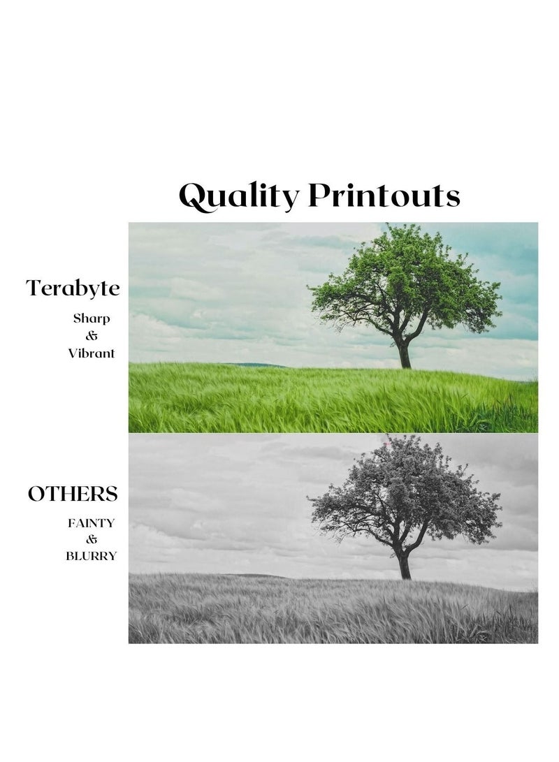 Terabyte MLT203L COMPATIBLE TONER TERABYTE - Image 4