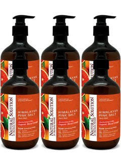 Natural Solution Natural Solution Hand Wash  Moisturizing Blood Orange  Himalayan Pink Salt Liquid Soap  14 oz Pack of 6  Hydrating  Gentle Formula  Ideal for Daily Use packaging may vary 