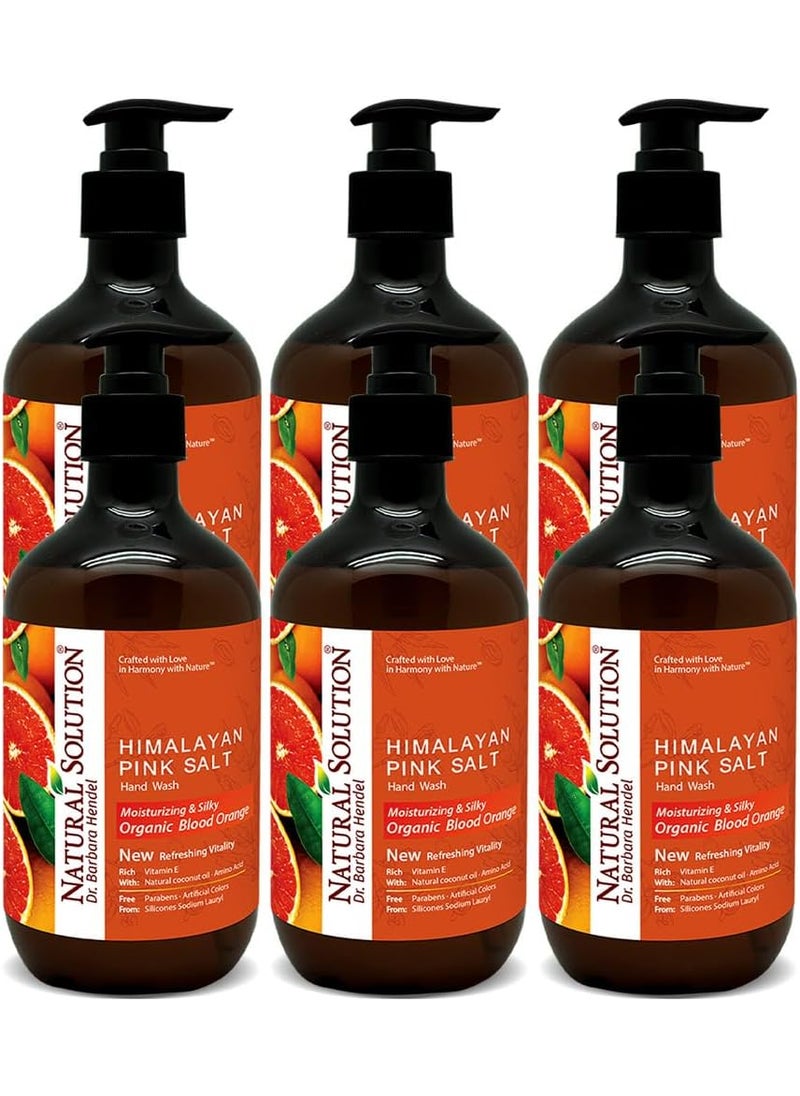 Natural Solution Natural Solution Hand Wash  Moisturizing Blood Orange  Himalayan Pink Salt Liquid Soap  14 oz Pack of 6  Hydrating  Gentle Formula  Ideal for Daily Use packaging may vary 