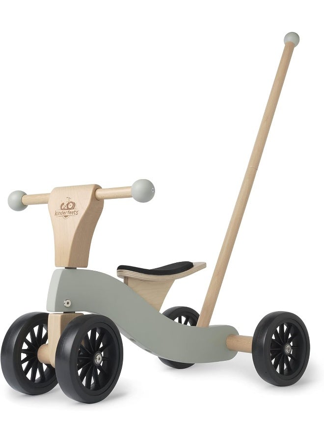 Kinderfeets Tiny Glider Wooden Foot-Powered Vehicle - Image 1