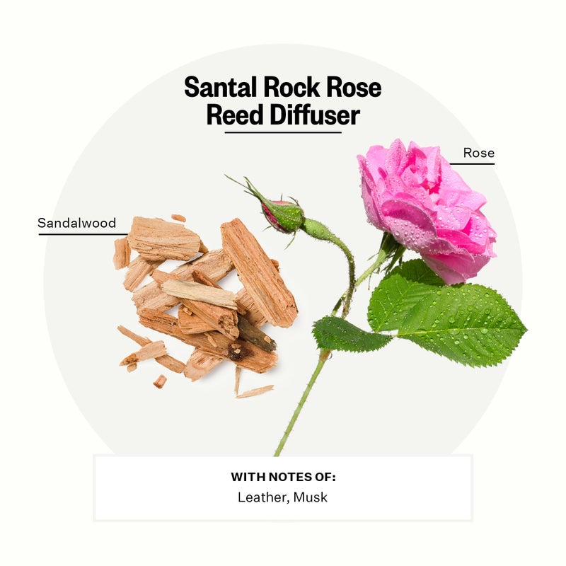 Apotheke Luxury Scented Reed Diffuser for Home, Santal Rock Rose - 6.7 Fl Oz Essential Oil Aromatherapy - 10 Rattan Scent Sticks Room Diffuser - Long-Lasting Fragrance for Bedroom, Home, Bathroom - Image 2