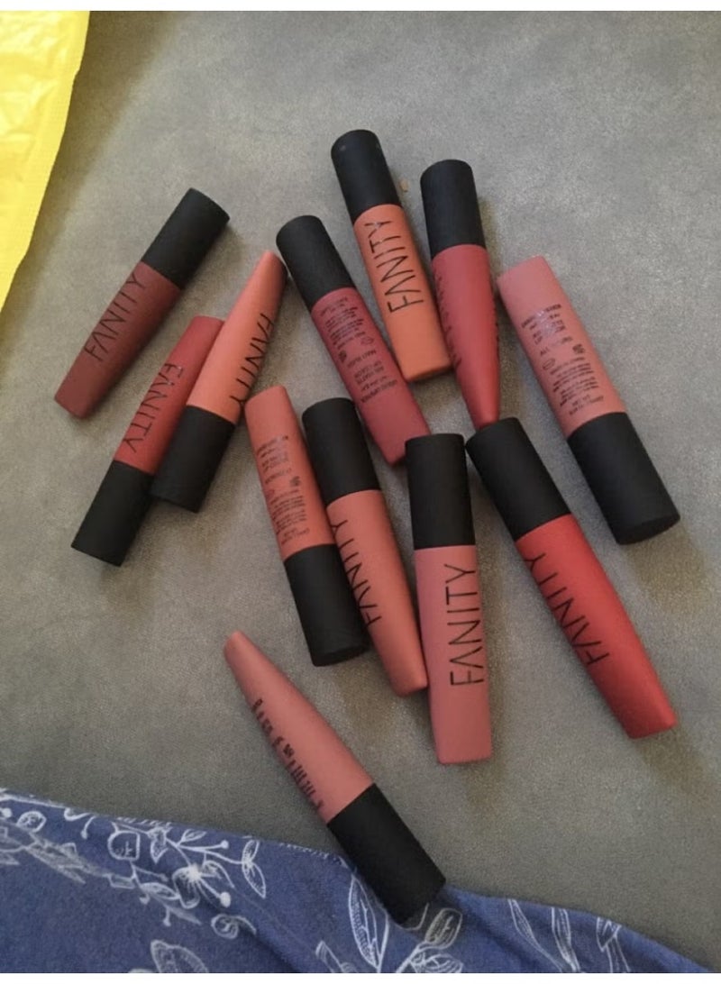 FANITY Set of 12 multi-colour permanent liquid lipstick - Image 2