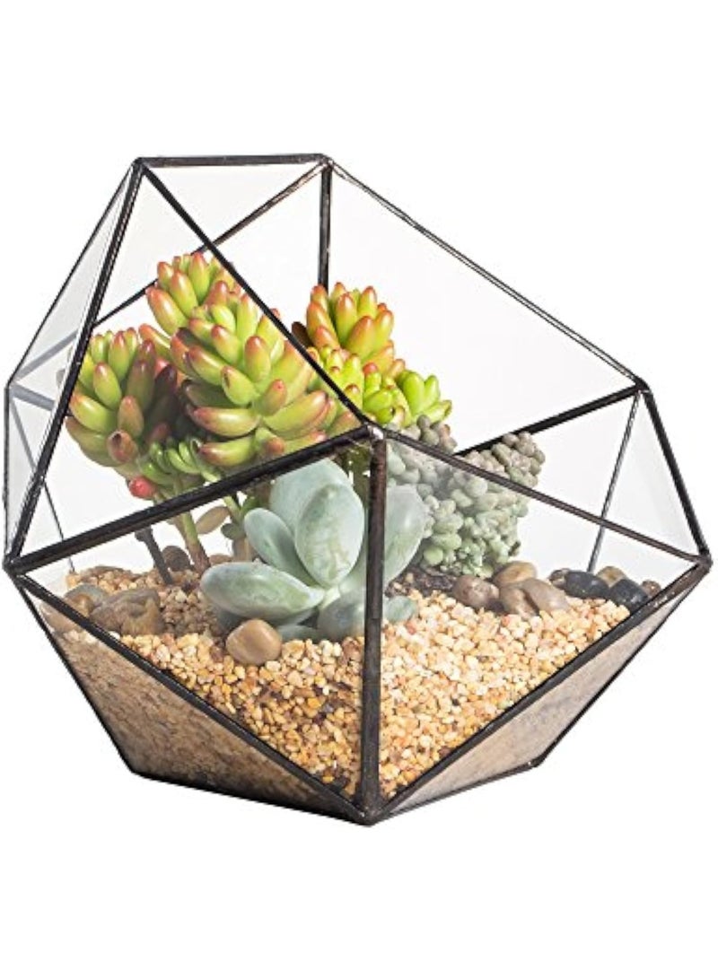 Glass Terrarium Planter with Lid for Small Succulent Cacti, Grid House Shape Black Geometric Terrarium Pot, Home Garden Indoor Tabletop Decor 6.63"