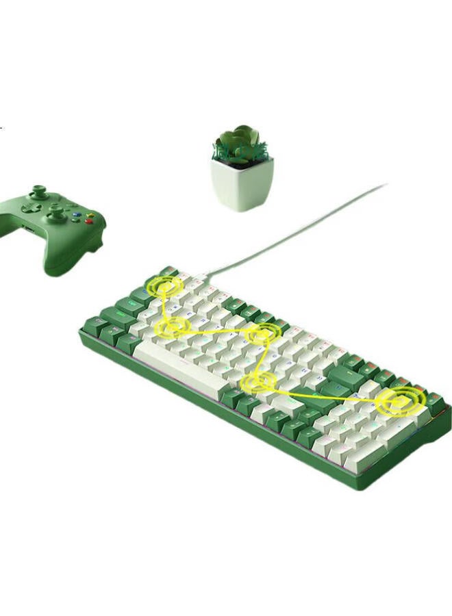 B.O.W لوحة مفاتيح ميكانيكية سلكية B.O.W Hangshi G100، لوحة مفاتيح قابلة للتخصيص للألعاب الإلكترونية، لوحة مفاتيح بإضاءة خلفية ملونة مختلطة للمكتب والمنزل، مفتاح أبيض وشاي أخضر - Image 3