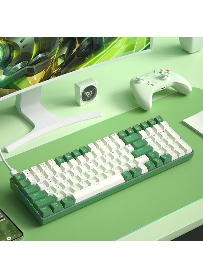 B.o.w Hangshi G100 Wired Mechanical Keyboard, E-sports Gaming Customizable Hot-swappable Mechanical Keyboard, Office And Home Mixed Color Backlit Keyboard, White And Green Tea Switch - Image 5