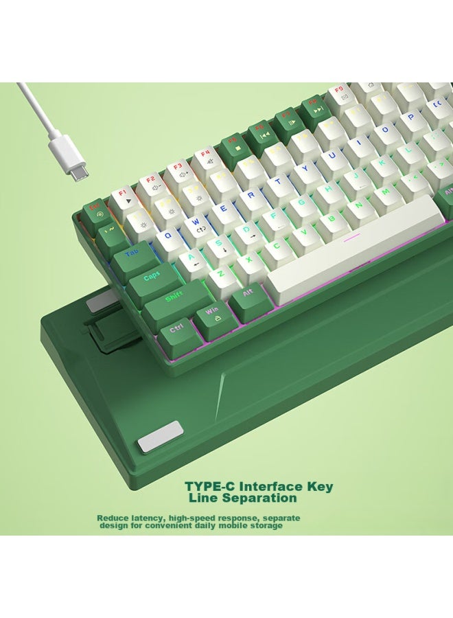 B.o.w Hangshi G100 Wired Mechanical Keyboard, E-sports Gaming Customizable Hot-swappable Mechanical Keyboard, Office And Home Mixed Color Backlit Keyboard, White And Green Tea Switch - Image 4