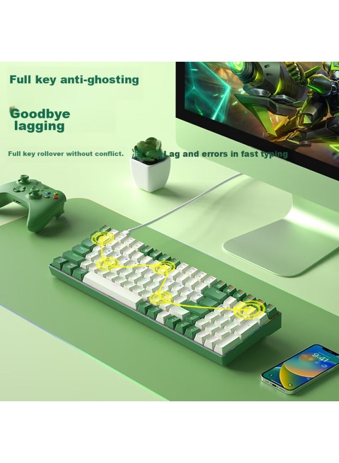 B.o.w Hangshi G100 Wired Mechanical Keyboard, E-sports Gaming Customizable Hot-swappable Mechanical Keyboard, Office And Home Mixed Color Backlit Keyboard, White And Green Tea Switch - Image 3