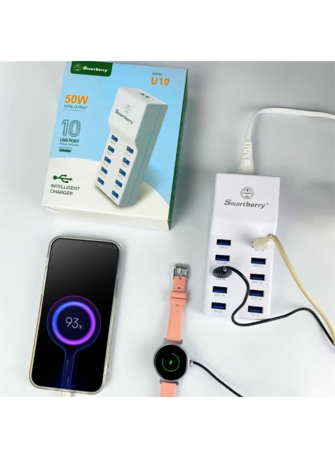 SmartBerry U10 10-Port 50W USB Wall Charging Hub with Smart Auto-Detect Technology - Image 3
