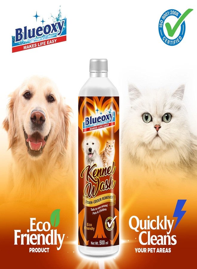 BLUEOXY Kennel Wash Stain Remover | Dog Pee Smell Remover | Dog Urine Cleaner | Pet Odour Neutralizer | Pet Surface Cleanser | Non Toxic | Natural enzymes | Ecological Formulation | 500 ML | QTY 2 - Image 2