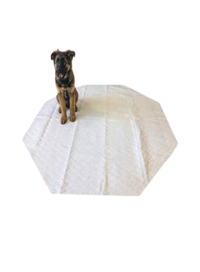 Midlee Reusable Octagon Playpen Dog Pee Pad-64" x 64" Set of 2 - Image 1