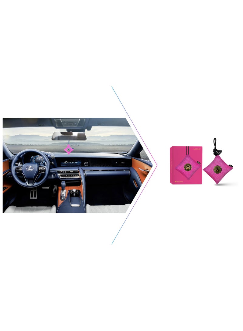 Impregnated Activated Carbon Indoor Car Air Purifier