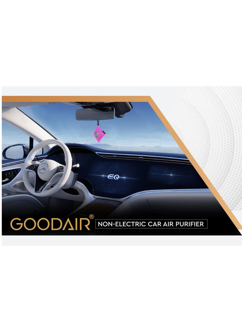 GOODAIR ROYAL Impregnated Activated Carbon Indoor Car Air Purifier  - Image 2