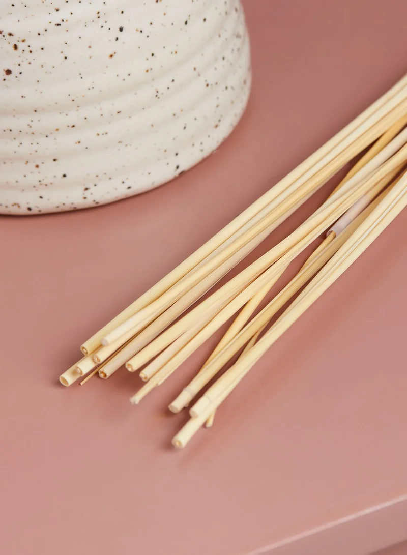 AURORA Set Of 15 Natural Dried Pampas Grass Stems