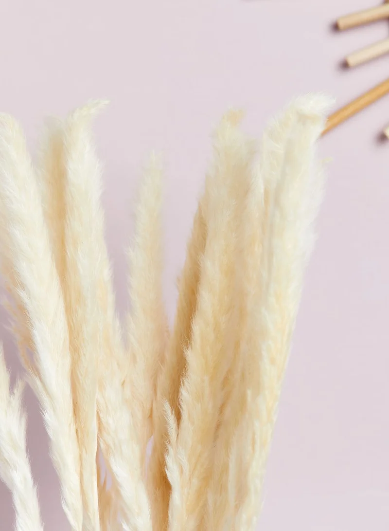 AURORA Set Of 15 Natural Dried Pampas Grass Stems