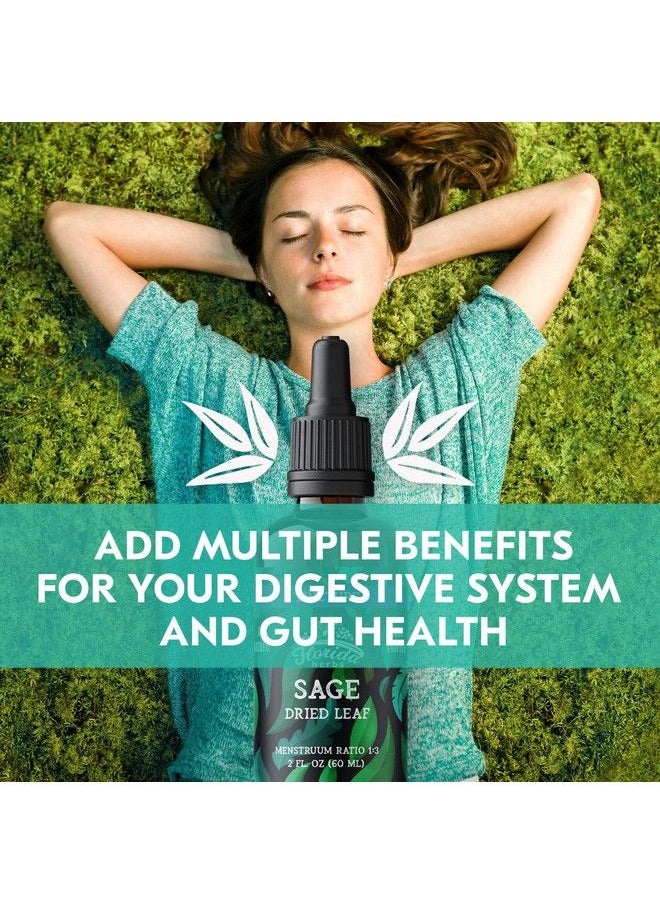 FLORIDA HERBS - Sage Extract Natural Dried Sage Supplement Sage Herb (Salvia Officinalis) Organic Sage Herbal Nonegmo Made In Usa 2 Oz - Image 1