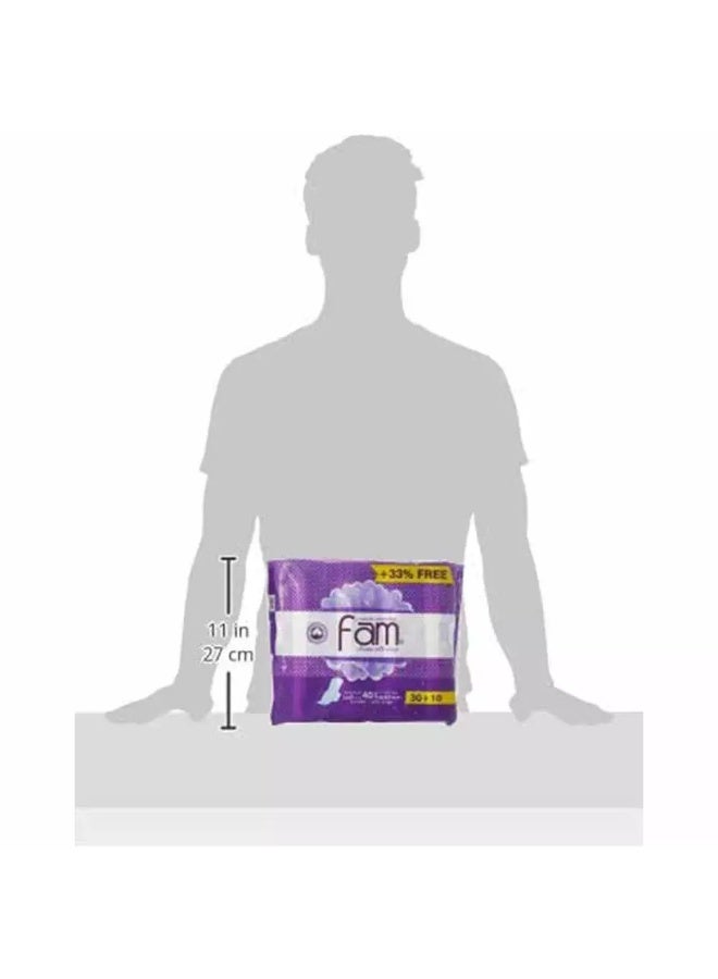 Fam فام كلاسيك صحي مع أجنحة سوبر - 40 فوط - Image 2
