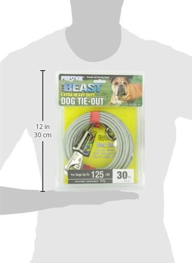 Boss Pet بوس بيت - حبل ربط كلاب الوحش الفاخر بطول 30 قدمًا مع زنبرك - Image 5