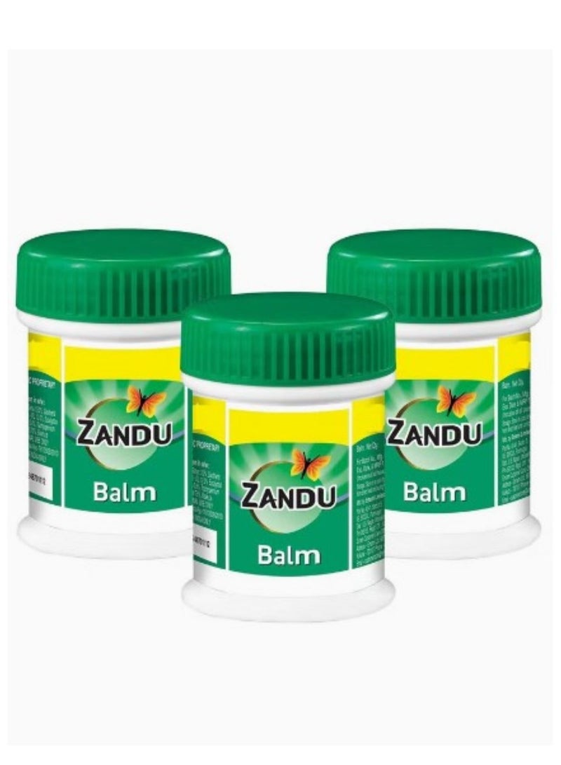 Zandu Pack Of 3 Balm For Headache Cold and Body Pain 25ML - Image 2