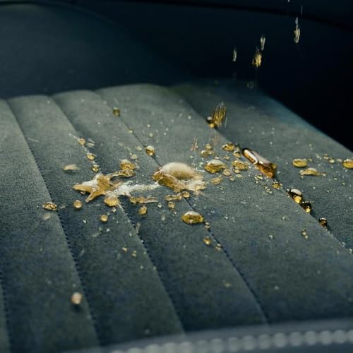 Nasiol Cabincare Nano Protection for Car Fabric Upholstery Care Water Repellent Fabric Protector for Car Interiors Stain Repellent Interior Care Products 17floz - Image 3