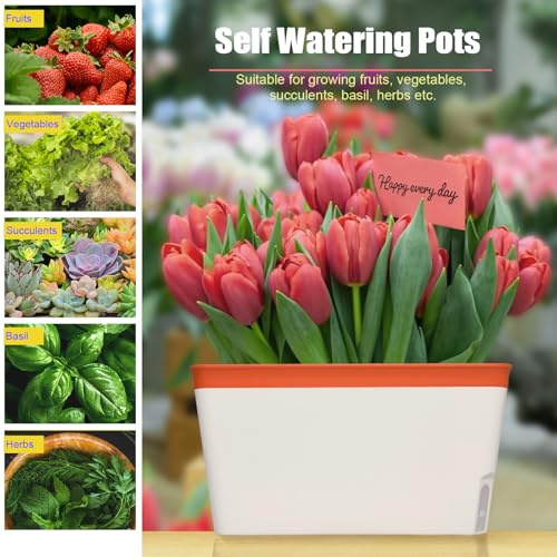 OurWarm Windowsill Herb Planter Box Indoor Set of 3, 10.5 Inch Self Watering Planter Pots with Visual Water Level Window, Modern Plastic Plant Pots for Herbs, Vegetables, Succulents Plants - Image 5