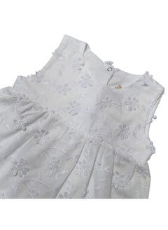 Baby Girls Dress+Panties - pzsku/ZF9824ED375B7FDC5BDB4Z/45/_/1710330005/5c406b0a-827e-4988-8515-790d4b71cb48