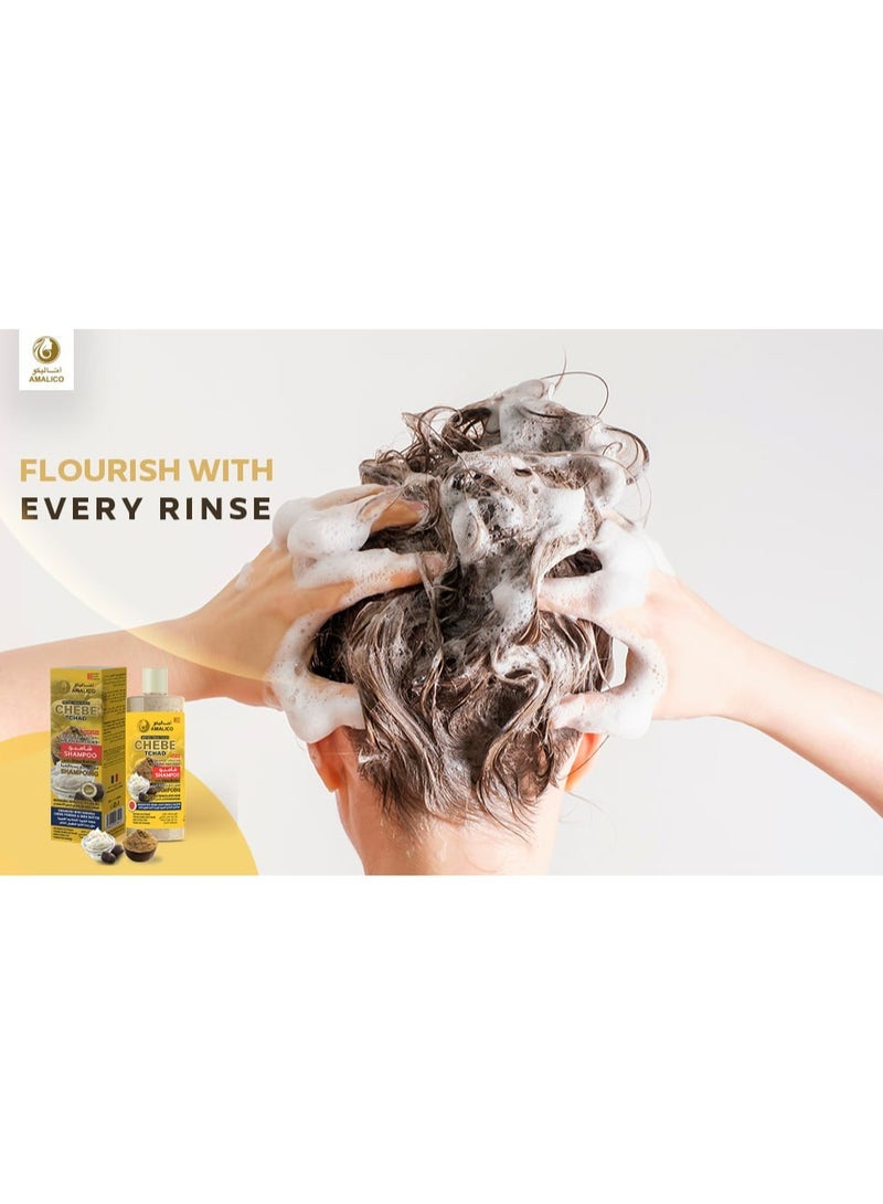 AMALICO Chebe Powder and Shea Butter Hair Treatement. - African Organic Hair SHAMPOO, CONDITIONER, OIL, Leave-in CREAM and Treatement MASK . Set for Curly Hair - Ready to Use Sweet Almond. Palm Oil Almond Oil Olive Oil Deep Scalp Nourishment Sulphate Parapen Free. 500ml - Set Of 5 Pcs - Image 2