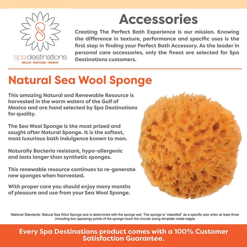 spa destinations Facial Sea Wool Sponge 2-3" (3) Pack by Spa Destinations - Image 3