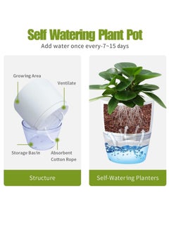 Generic Self Watering Plant Pots, 6 inch Orchid Flower Pots White Modern Decorative Plastic Planters with Wick Rope Large Water Storage for All Indoor Plants (Set of 3)  - Image 2
