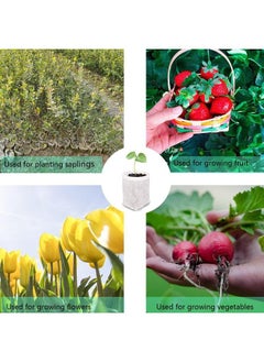 yongsheng Plant Nursery Bags 5.5 * 6.3 inches 200PCS, Non-Woven Biodegradable Plant Grow Bags Fabric Seedling Starter Bags for Vegetable Flower  - Image 4
