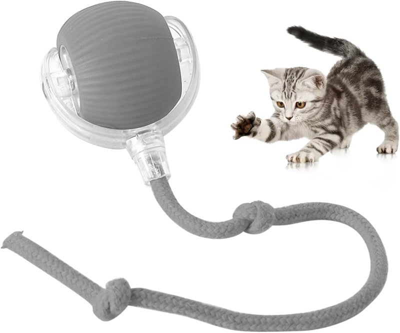 TTPOLONG Interactive Toy for Cats and Dogs, Three Adjustable Modes with Wake Up Function for Cats and Dogs (Grey) - Image 1