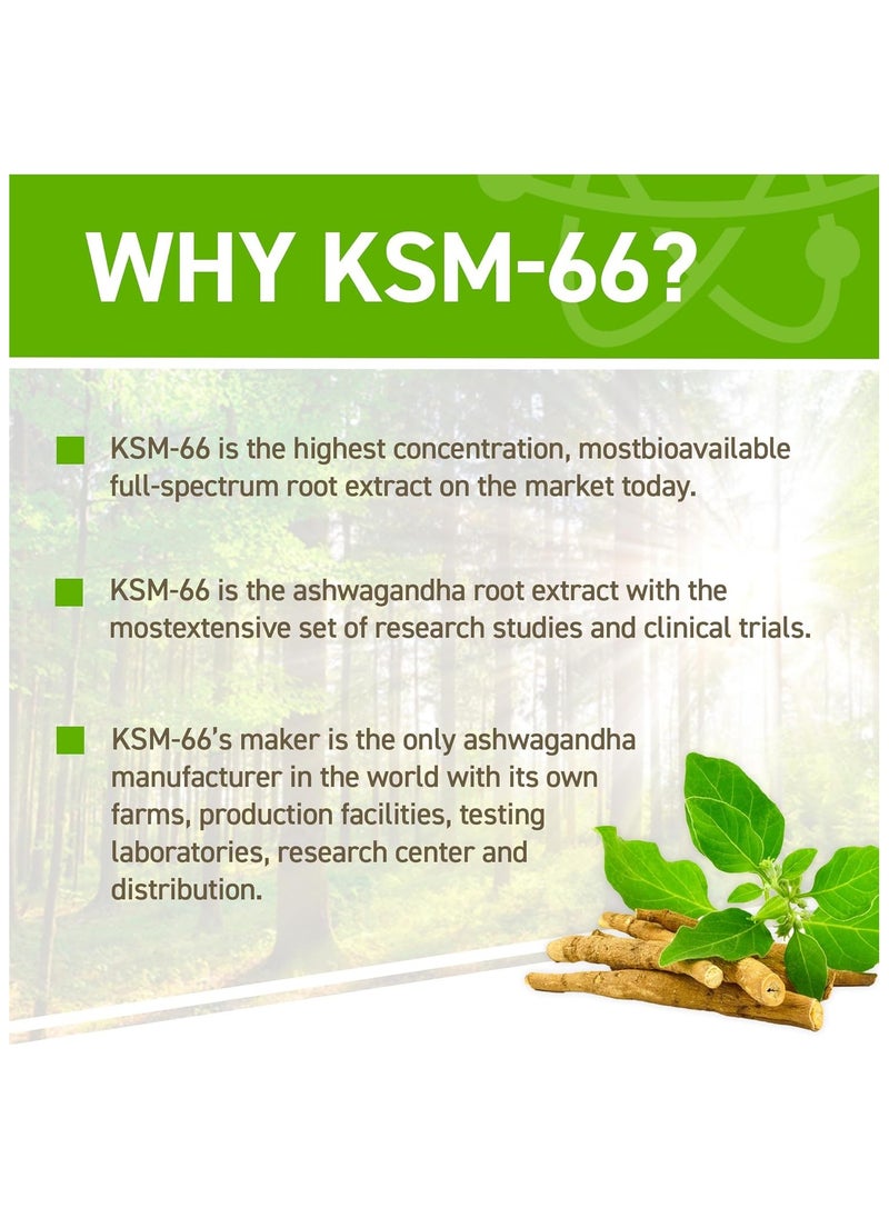 أبلايد نيوتريشن أشواغاندا مع KSM-66 - 60 كبسولة  - Image 5
