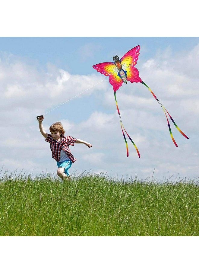 Large Rainbow Delta And Butterfly Kites 2 Pack Easy Flyer Kites With Long Colorful Tail For Kids Adults Outdoor Game Activities Beach Trip Great Gift To Kids Childhood Precious Memories - pzsku/ZF98B16F0F84E1B161835Z/45/_/1688193288/cf301527-320b-4def-a20b-949b4681ac19