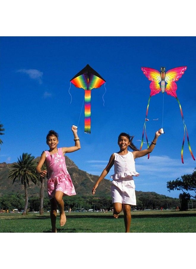 Large Rainbow Delta And Butterfly Kites 2 Pack Easy Flyer Kites With Long Colorful Tail For Kids Adults Outdoor Game Activities Beach Trip Great Gift To Kids Childhood Precious Memories - pzsku/ZF98B16F0F84E1B161835Z/45/_/1688193292/3113445d-e603-46f3-b8a2-adc2af13a6c1