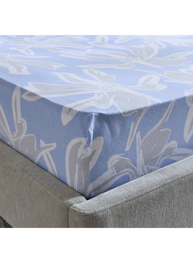 Home Box Malta Evelyn Printed Cotton Twin Fitted Sheet - 120x200+33 cm - Image 1
