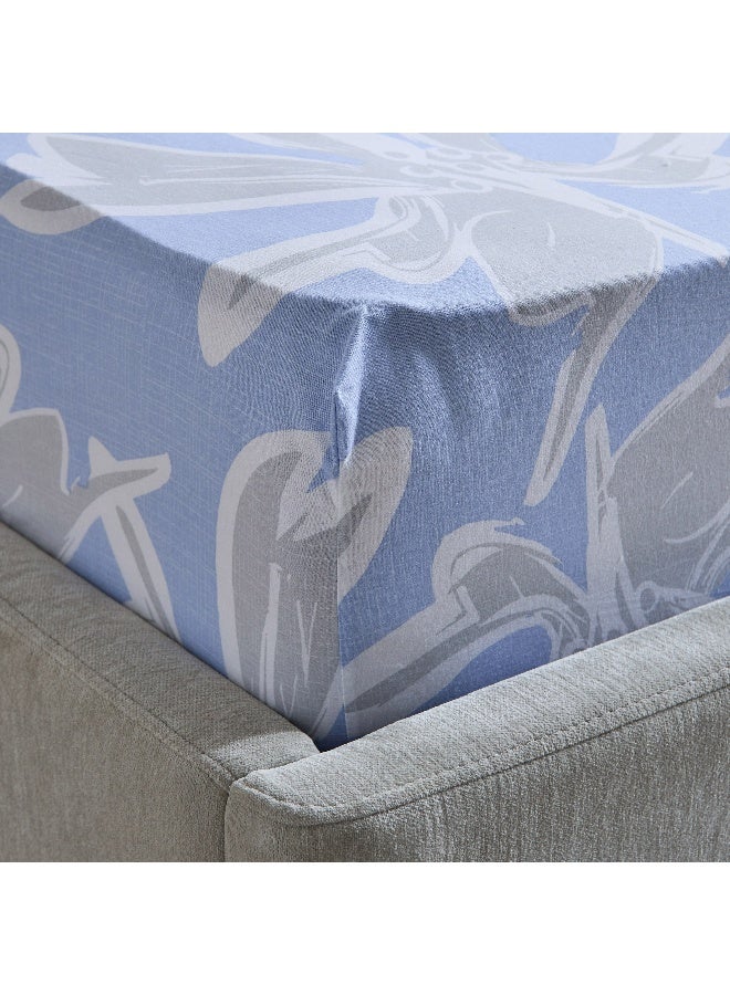 Home Box Malta Evelyn Printed Cotton Twin Fitted Sheet - 120x200+33 cm - Image 4