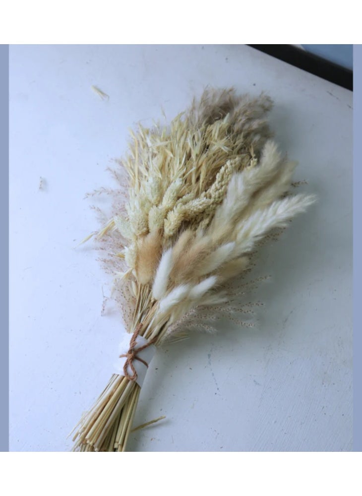 Generic Bouquet Dried Flowers  - Image 1