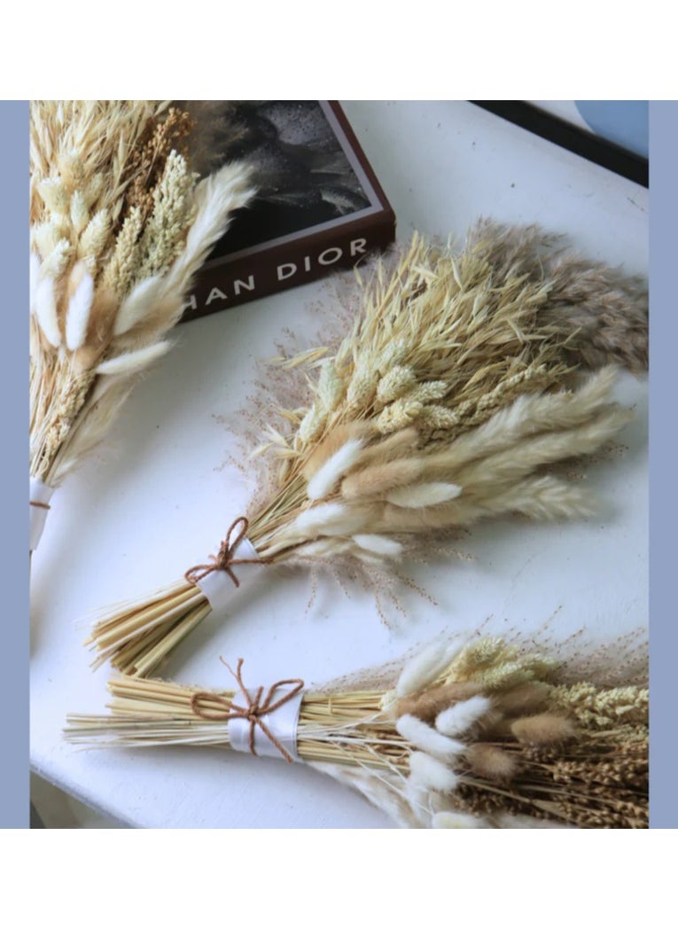 Generic Bouquet Dried Flowers  - Image 2
