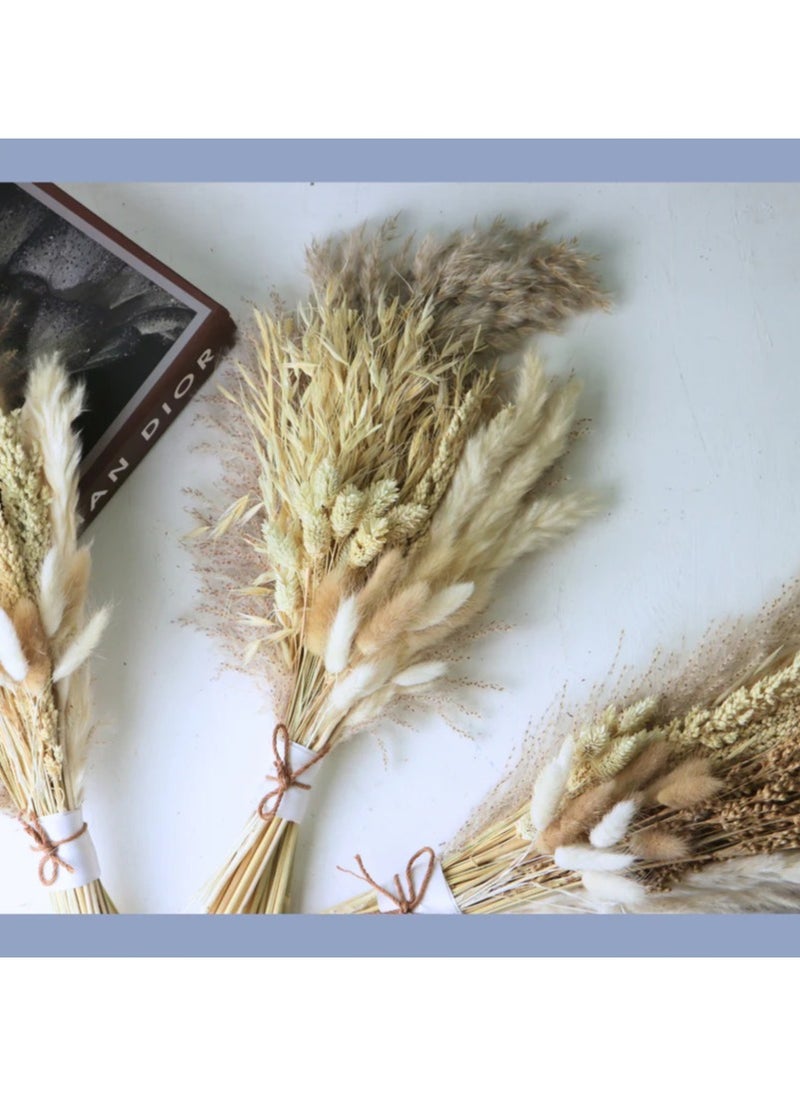 Generic Bouquet Dried Flowers  - Image 3