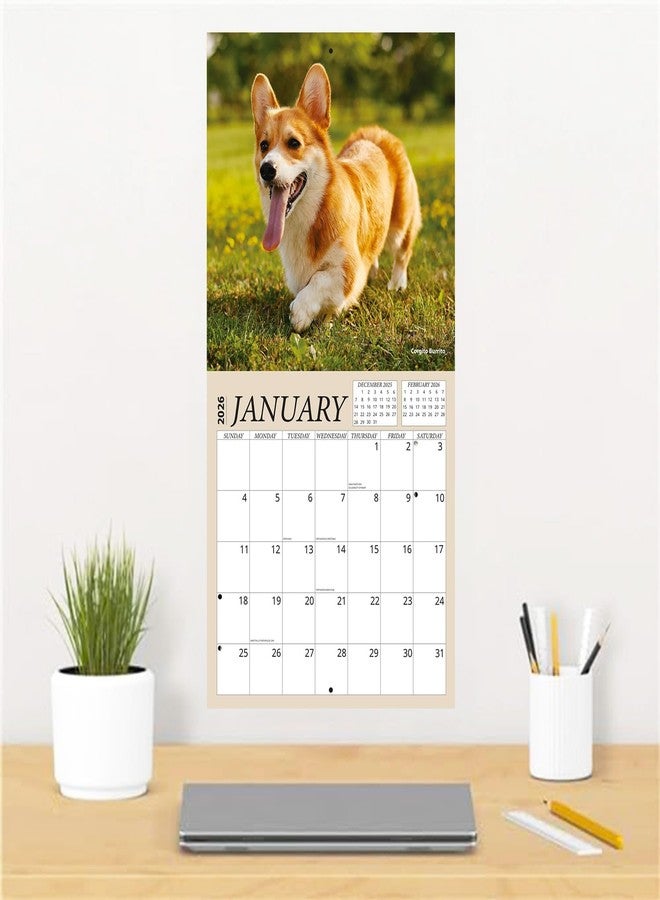 Crenstone Welsh Corgis Calendar 2026 - Deluxe 2026 Cardigan and Pembroke Corgis Wall Calendar Bundle with Over 100 Calendar Reminder Stickers (Dog Themed Gifts, Office Supplies) | Made In The USA - Image 2