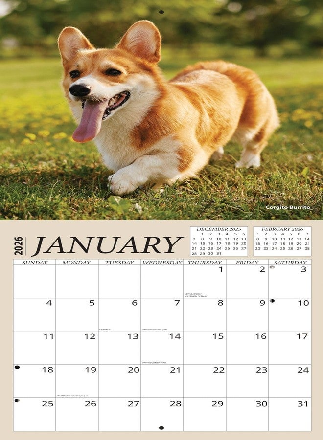 Crenstone Welsh Corgis Calendar 2026 - Deluxe 2026 Cardigan and Pembroke Corgis Wall Calendar Bundle with Over 100 Calendar Reminder Stickers (Dog Themed Gifts, Office Supplies) | Made In The USA - Image 5