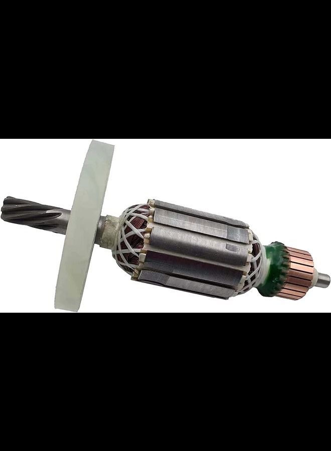 ABBASALI Motor Armature - Image 2