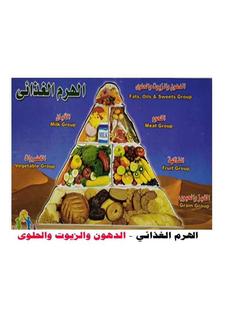 Toys Puzzle The Food Chain  - Image 1