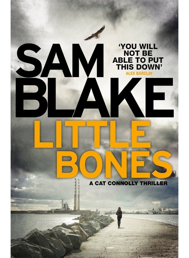 Little Bones: A disturbing Irish crime thriller 