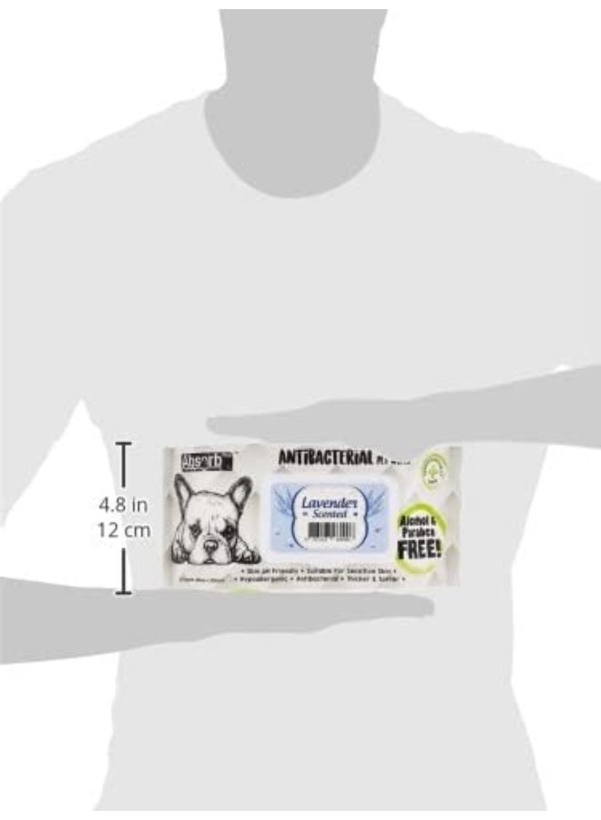 Absolute Holistic Pet Absorb Plus Antibacterial Pet Wipes Lavender 80 Sheets - Image 3