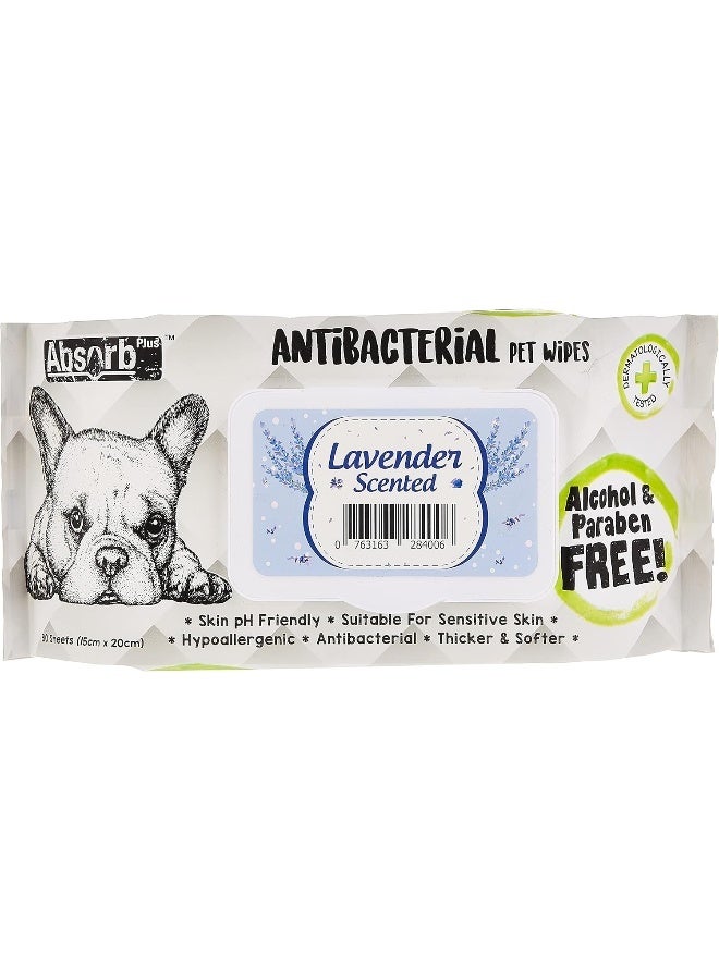 Absolute Holistic Pet Absorb Plus Antibacterial Pet Wipes Lavender 80 Sheets - Image 1