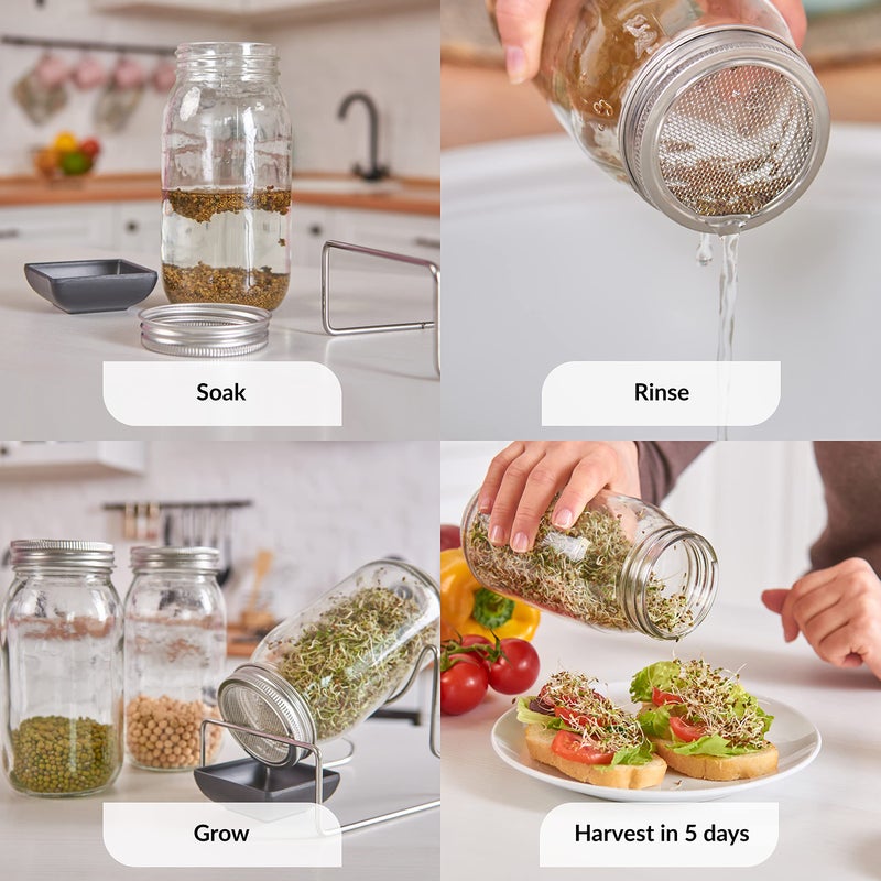 LeafImpact 2 Pack Seed Sprouting Jar Lids | For 2.75" Regular Mouth Mason Jars | Fresh Sprouts at Home | Strainer Screen for Canning Jars | 304 Stainless Steel Lid for Growing Broccoli, Alfalfa, Beans & More  - Image 4