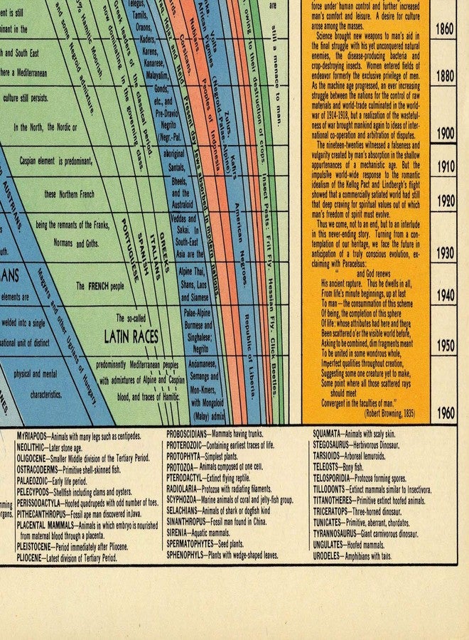 ArtCantHurtU HISTOMAP OF EVOLUTION- which talks about human evolution from a cell to apes to humans (era of evolution. paleontology) (23"x62") - Image 5