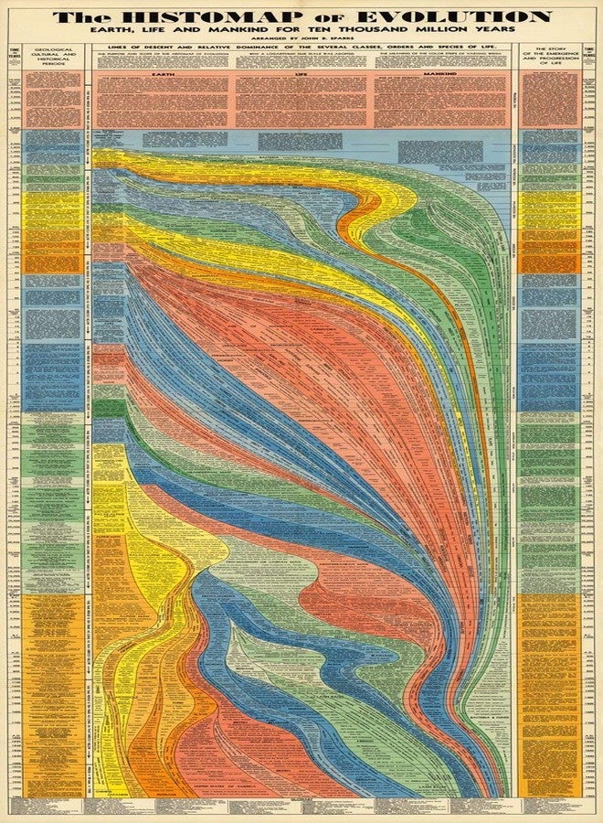 ArtCantHurtU HISTOMAP OF EVOLUTION- which talks about human evolution from a cell to apes to humans (era of evolution. paleontology) (23"x62") - Image 1