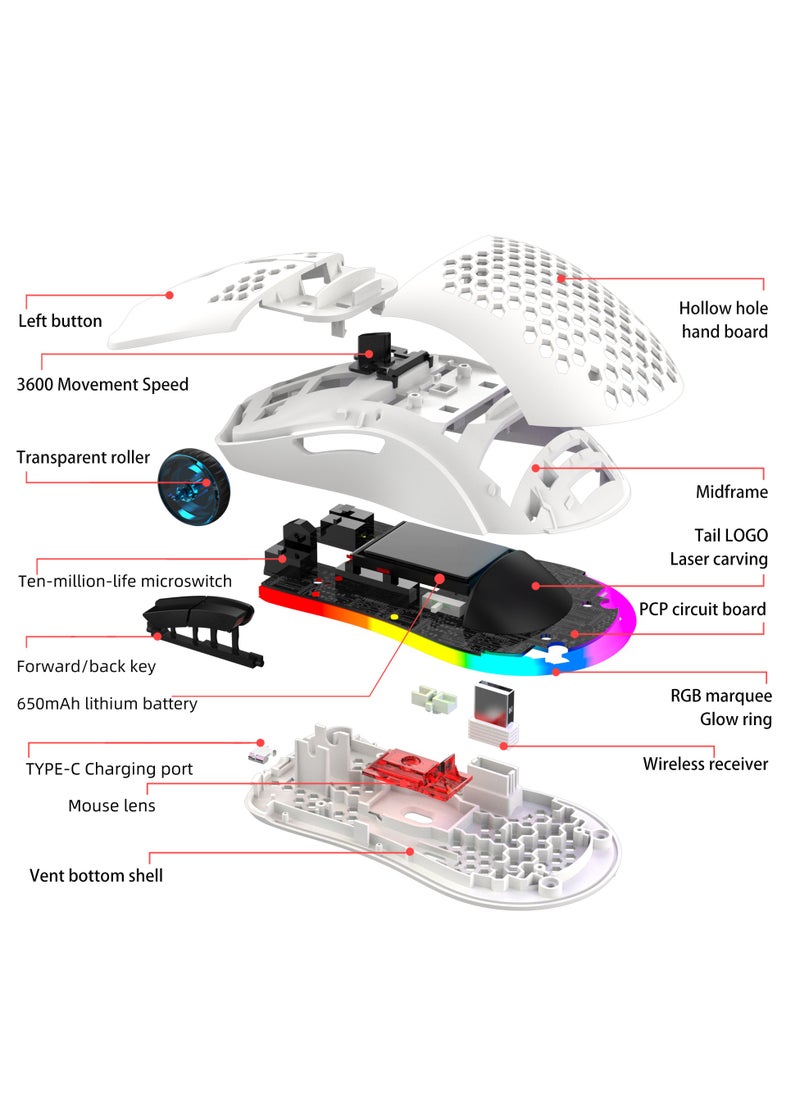 إتش إكس إس جيه - ماوس الألعاب T66 RGB ثلاثي الأوضاع 2.4 جيجاهرتز/سلكي/BT5.3 مع DPI قابل للتعديل لأجهزة الكمبيوتر المكتبية والكمبيوتر المحمول - Image 1