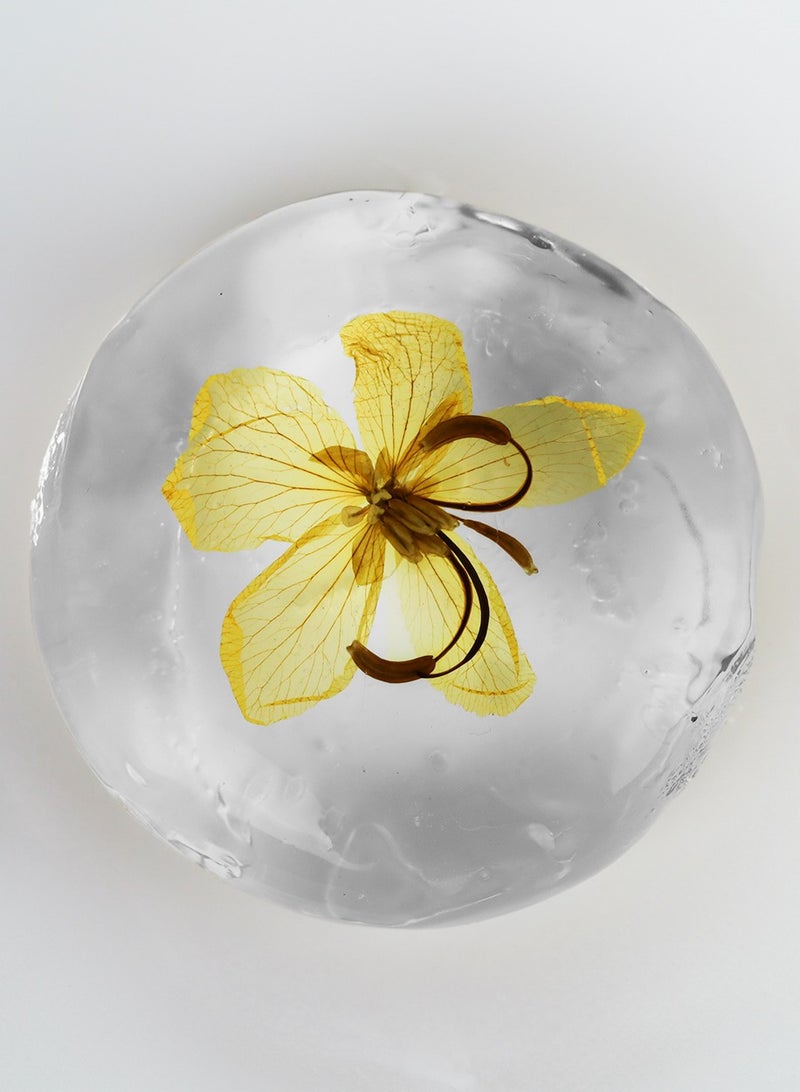 natural100 glycerin soap - Image 1